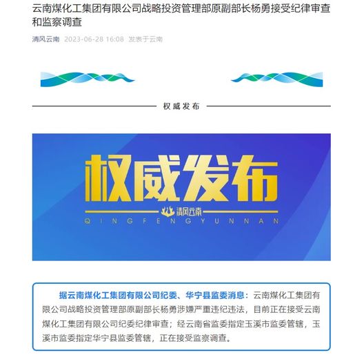 云南煤化工集团战略投资管理部原副部长杨勇被查