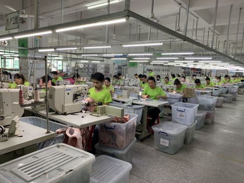 明星陈德容代言的内衣加盟品牌闺秘内衣有什么魅力