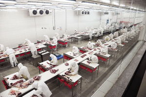 南阳日报多媒体数字报刊平台,南阳日报多媒体数字报刊平台,南阳,南阳日报,南阳网,南阳社区