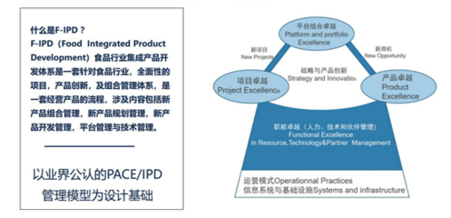 F-IPD咨询项目正式启动 优化投资管理的战略新篇章