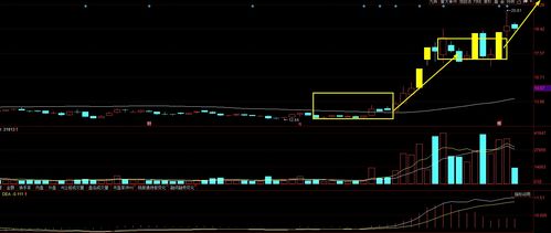A股大寻宝 四只具备“飞天”潜力、散户忽略却获资金悄然关注的标的