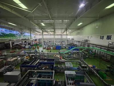 华山脚下，品质牛奶的绿色传奇 从生态牧场到‘华山之巅’的匠心之旅